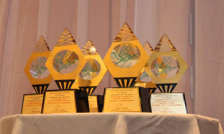 ประกาศผลทีมที่เข้ารอบ “รางวัลสายฟ้าน้อย” ครั้งที่ 9 ประจำปี 2556